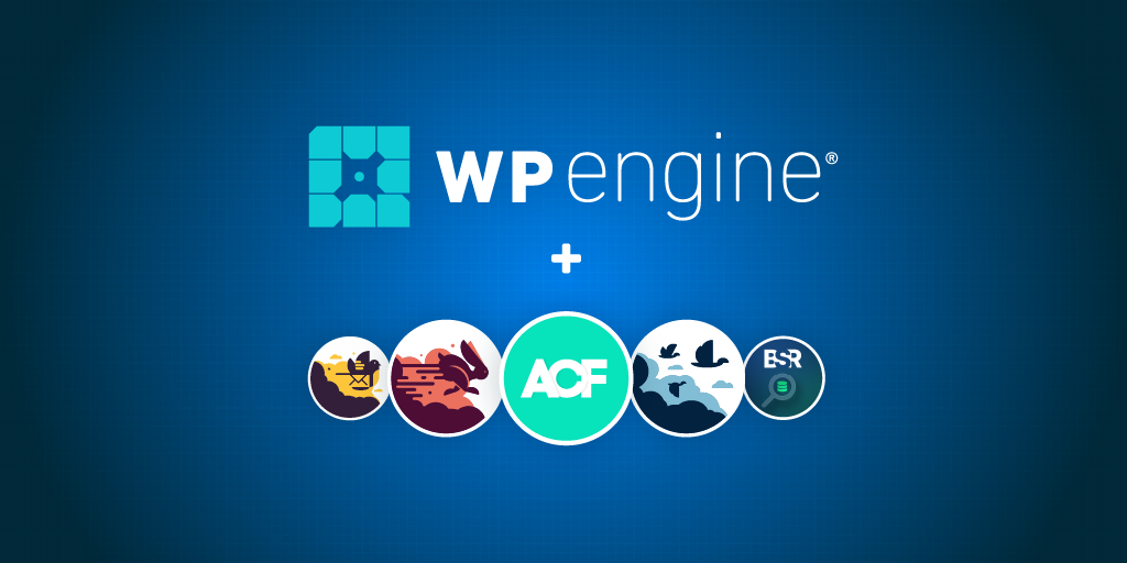 Image of WP Engine plugins from Delicious Brains