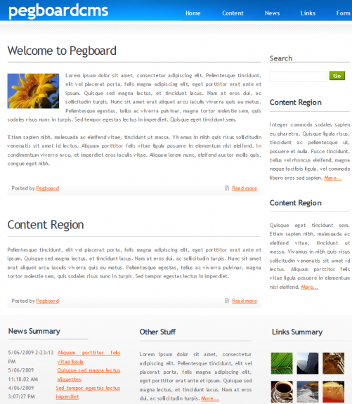 Pegboard CMS Review