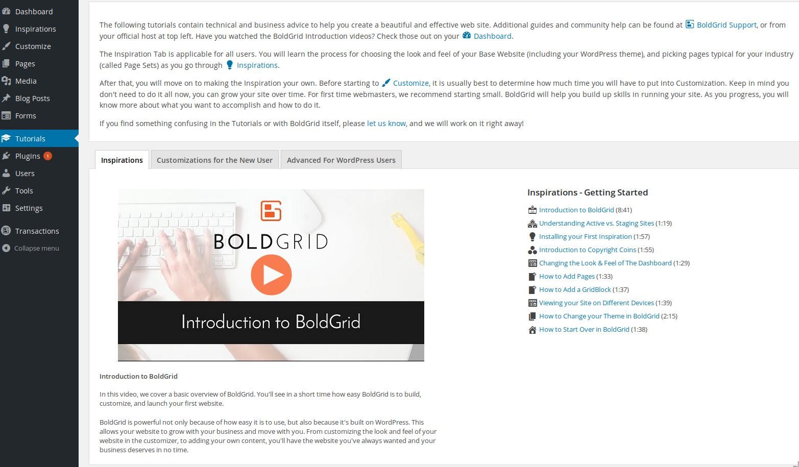 boldgrid review 10