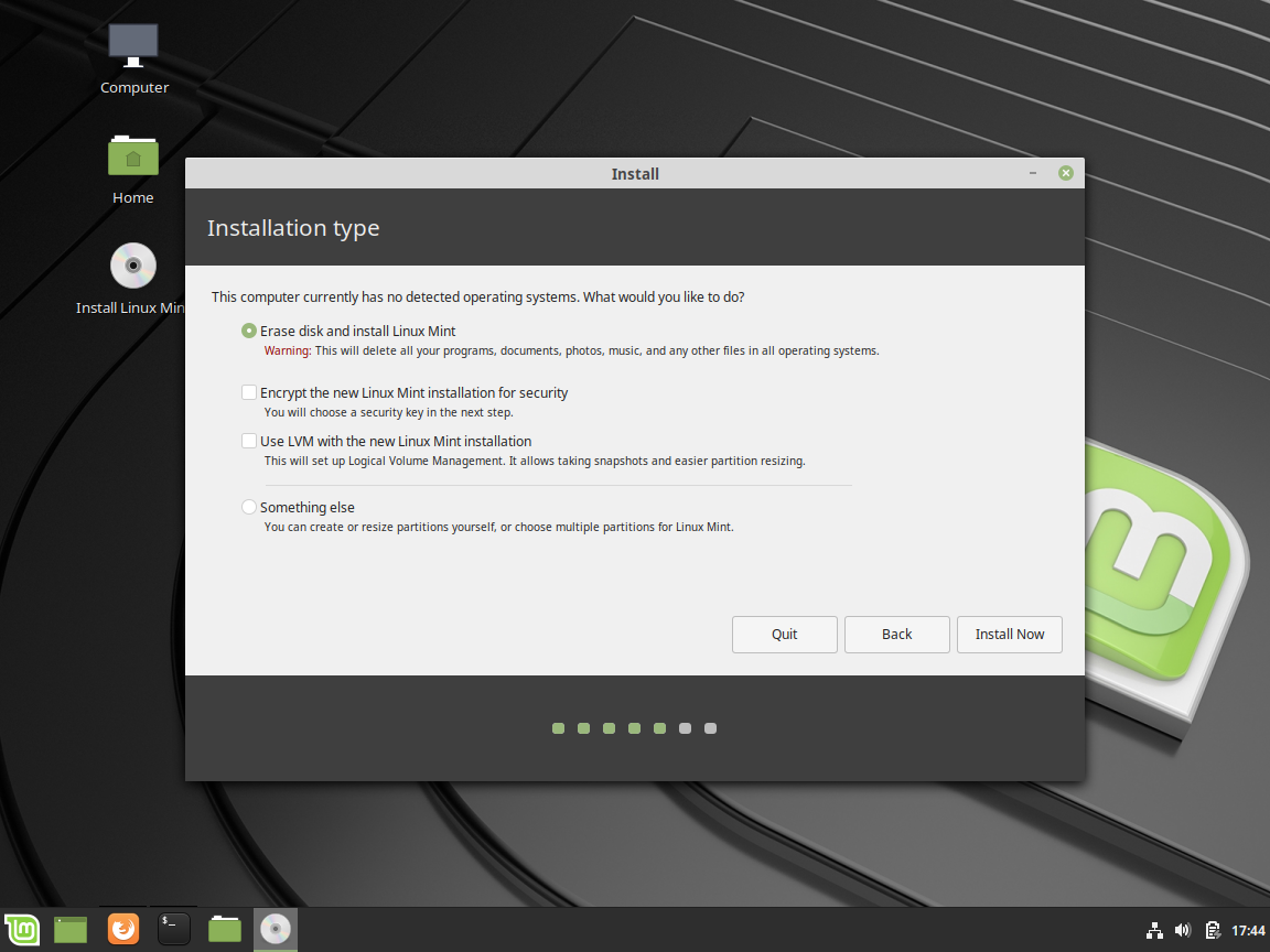 How to Install Linux Mint - Disk Choices