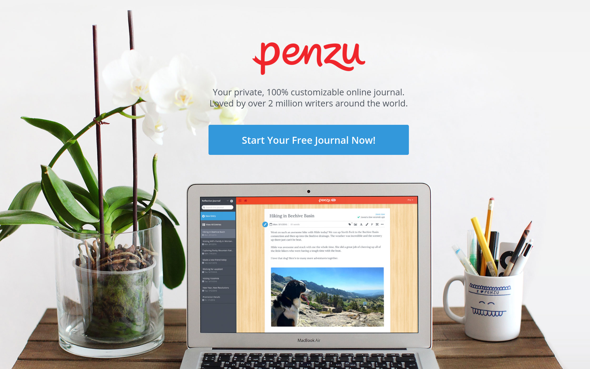 Penzu login on sale