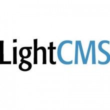 NETSUITE LIGHTCMS LOGO