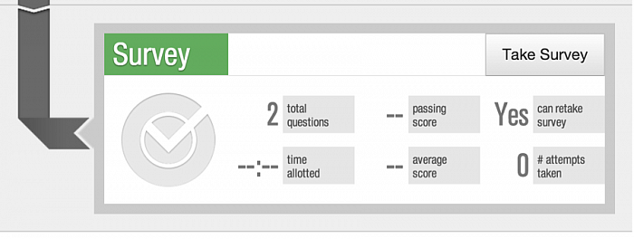 LearnCore Surveys