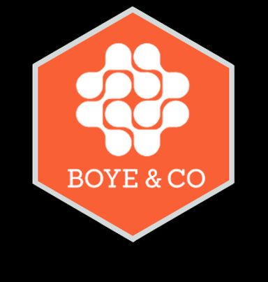 Boye & Co CMS Expert Member badge with logo
