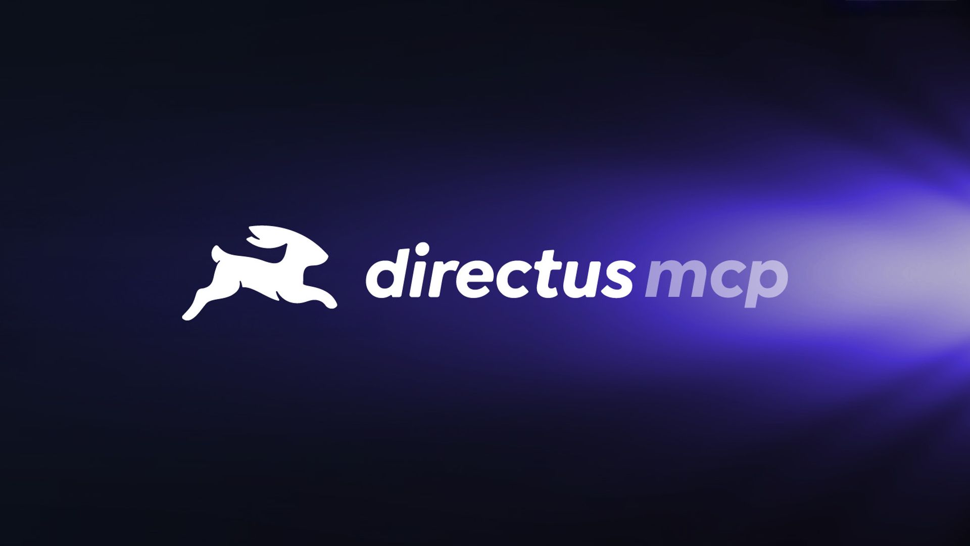 Directus MCP logo